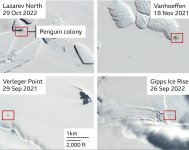 Climate change: Four new emperor penguin groups found by satellite