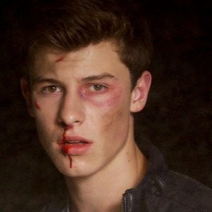 Shawn Mendes - Stitches (Official Music Video)